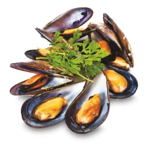 Cozze Mezzo Guscio