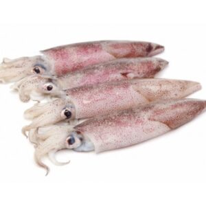 Calamari veraci