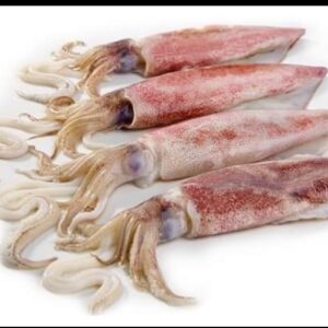 Calamari 2 P